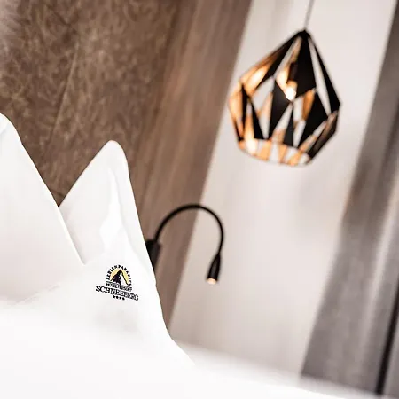 Курортный комплекс Schneeberg Family 4*